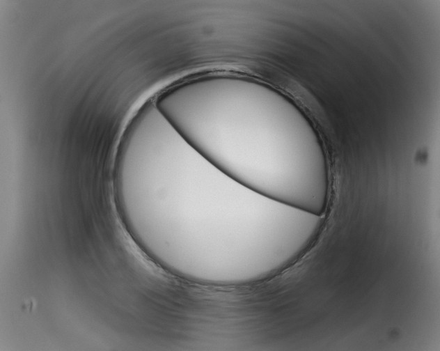 X0000116061028200911201156