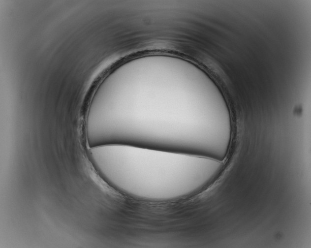 X0000116061029200911201156