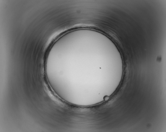 X0000116061030200911201156