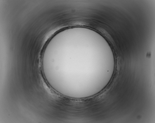X0000116061031200911201156