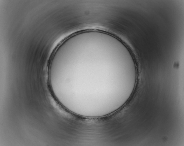 X0000116061032200911201156
