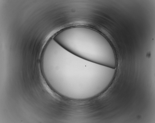 X0000116061034200911201156