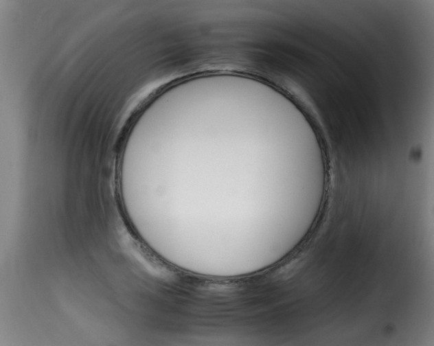 X0000116061035200911201156