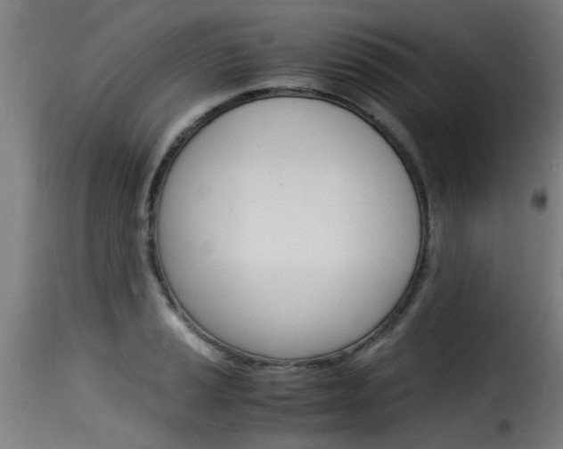 X0000116061037200911201156