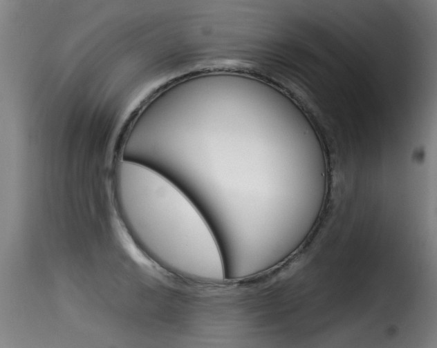 X0000116061038200911201156
