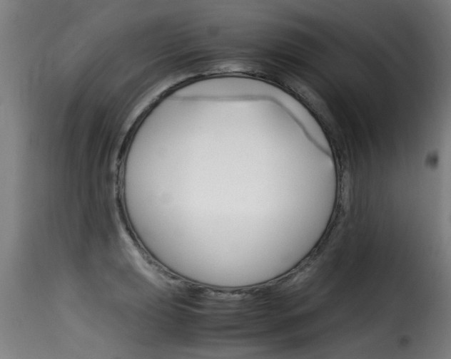 X0000116061039200911201156