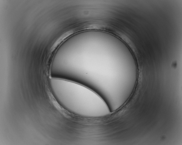X0000116061042200911201156