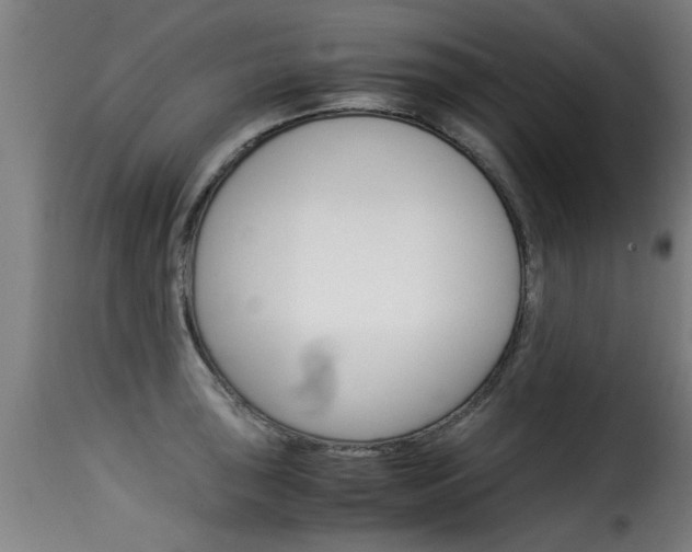 X0000116061043200911201156