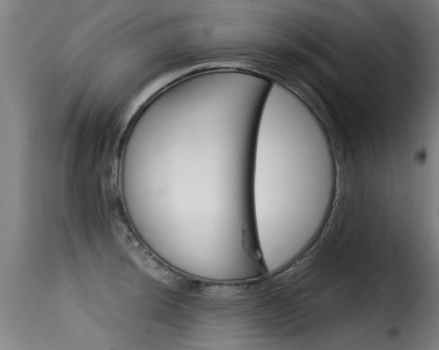 X0000116061044200911201156
