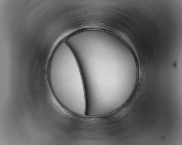X0000116061045200911201156