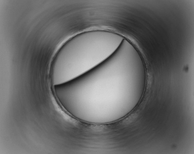 X0000116061046200911201156