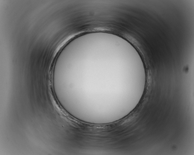 X0000116061047200911201156