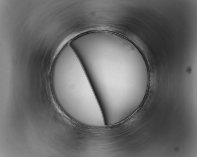 X0000116061048200911201156