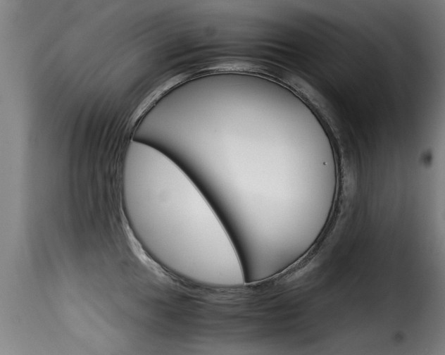 X0000116061049200911201156