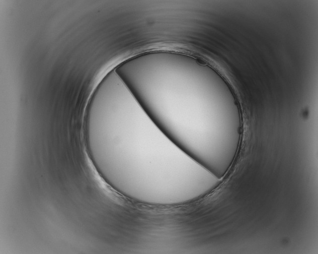 X0000116061050200911201156