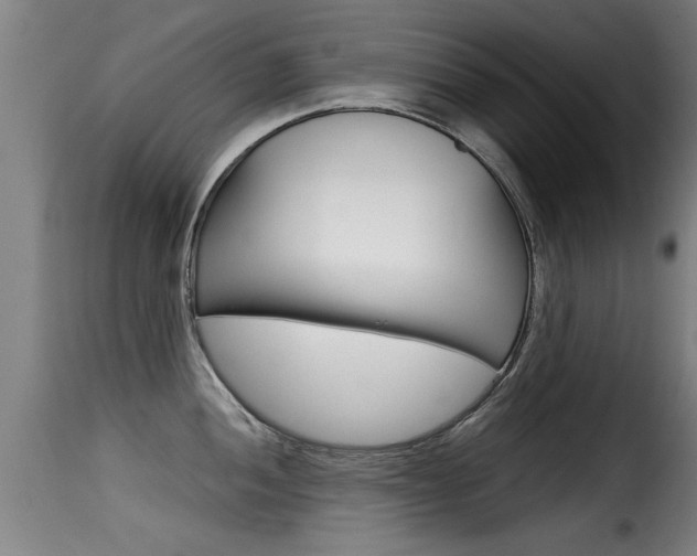 X0000116061052200911201156