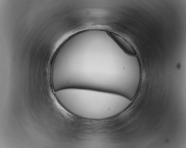 X0000116061054200911201156