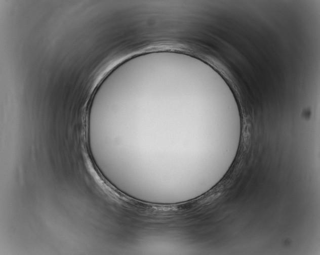 X0000116061055200911201156