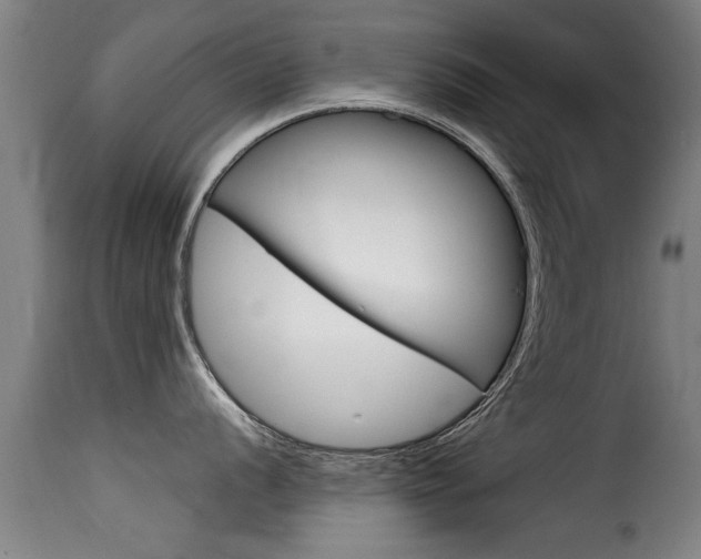 X0000116061056200911201156