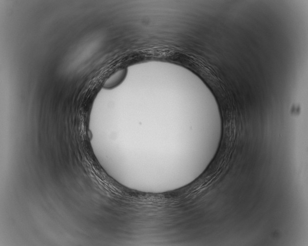 X0000116061058200911201155