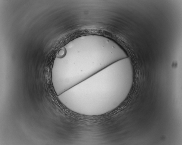 X0000116061062200911201155