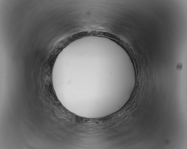 X0000116061063200911201155