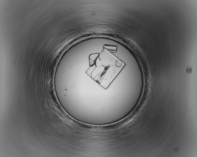 X0000116061065200911201155