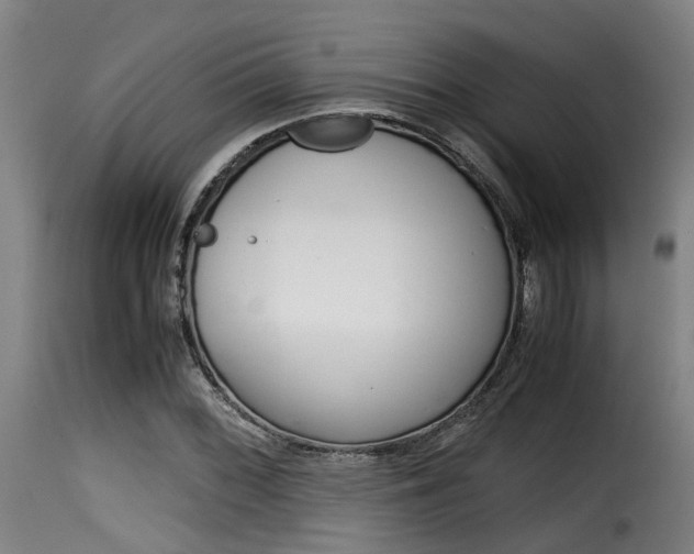 X0000116061068200911201155
