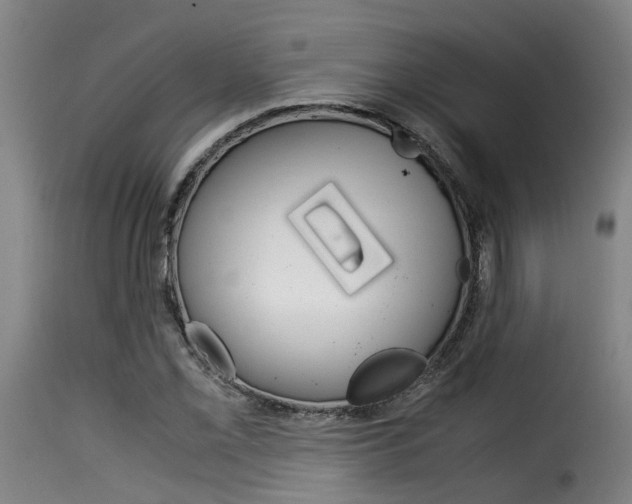 X0000116061069200911201155