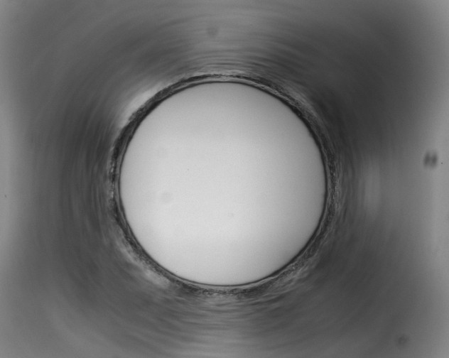 X0000116061071200911201155