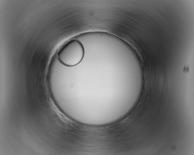 X0000116061072200911201155