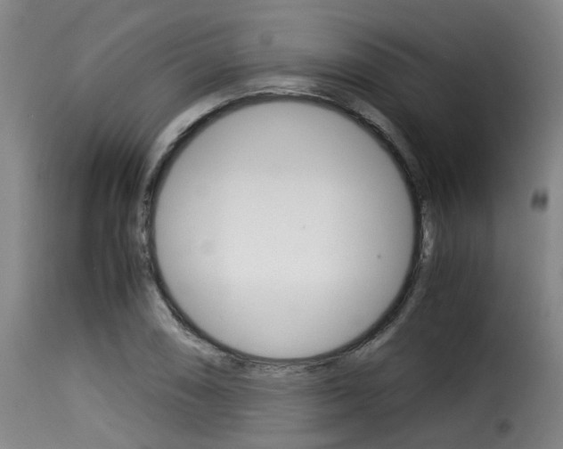 X0000116061074200911201155