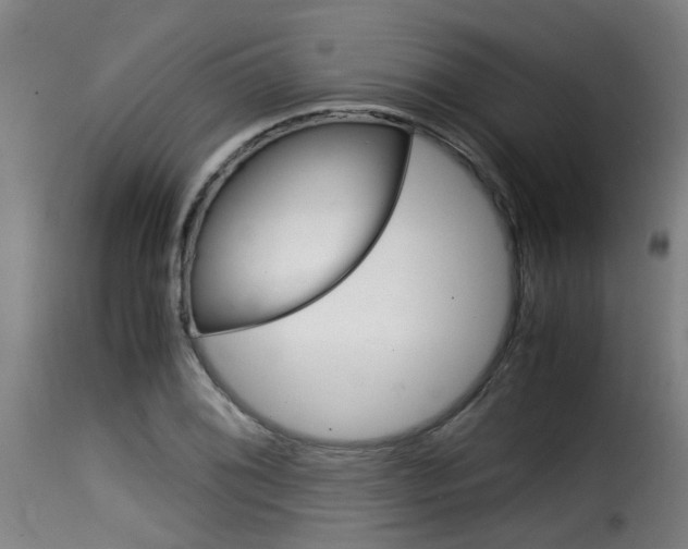 X0000116061076200911201155