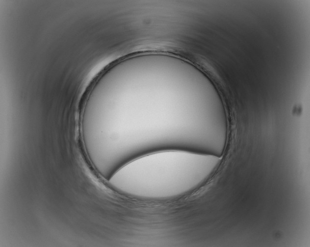 X0000116061079200911201155