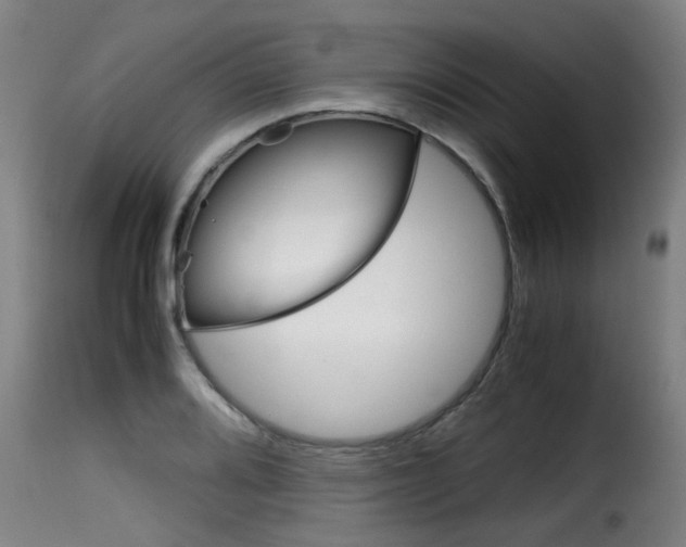 X0000116061080200911201155