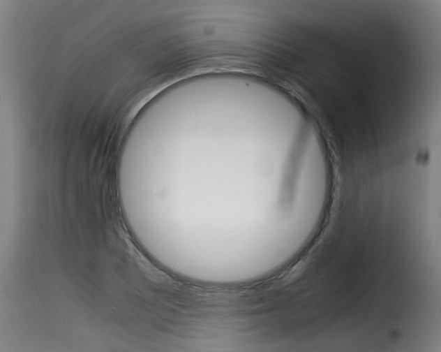 X0000116061081200911201155