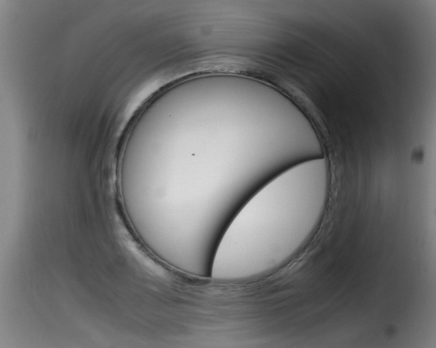 X0000116061083200911201155