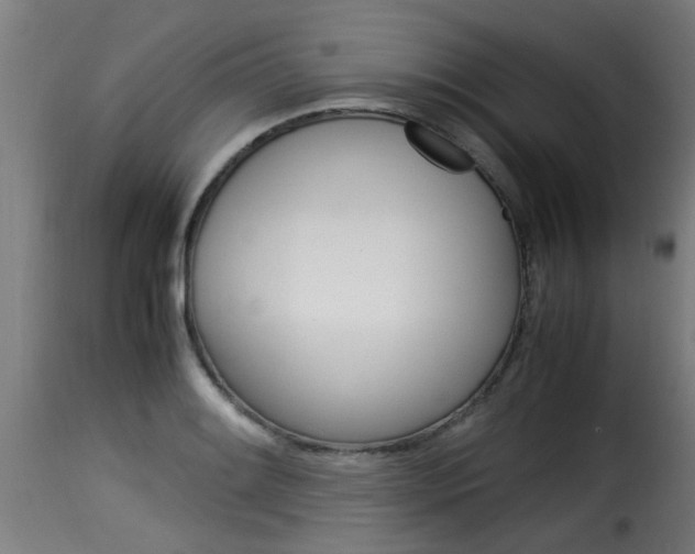X0000116061084200911201155