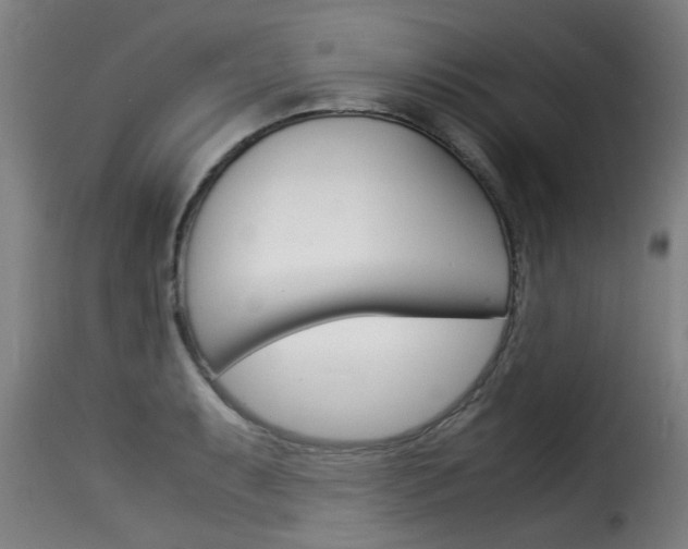 X0000116061087200911201155