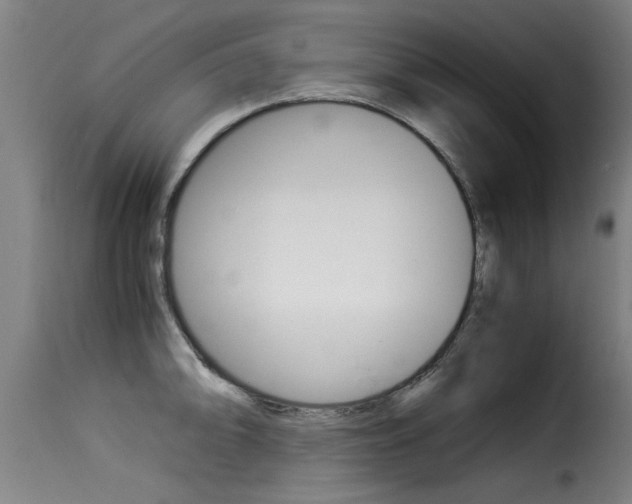 X0000116061094200911201155