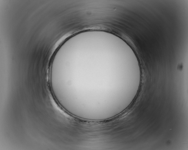 X0000116061095200911201155