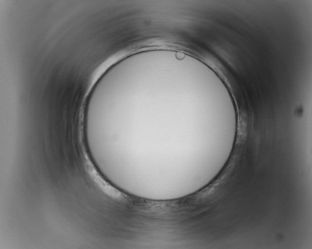 X0000116061098200911201155