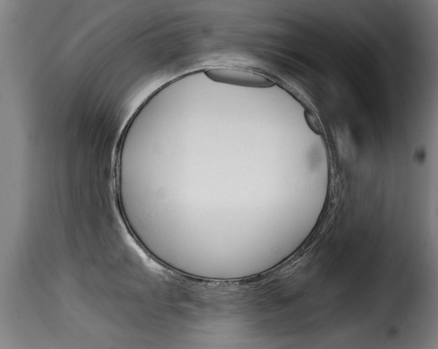 X0000116061103200911201155
