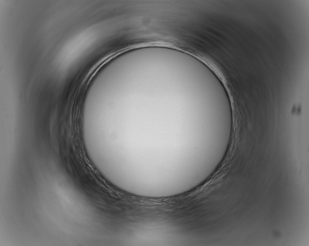 X0000116061104200911201155