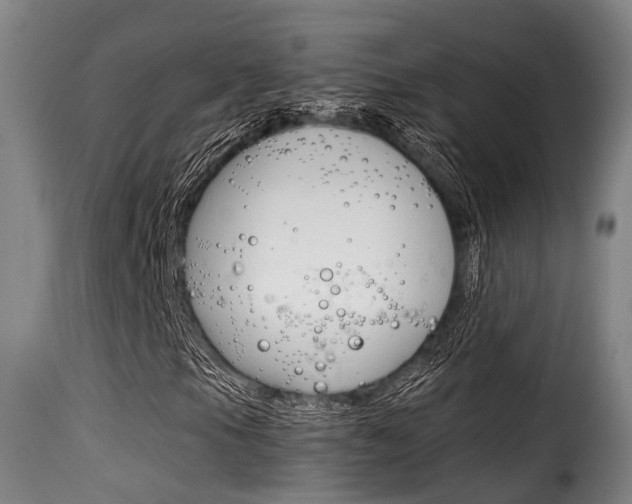 X0000116061105200911201154