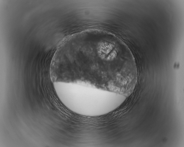 X0000116061106200911201154