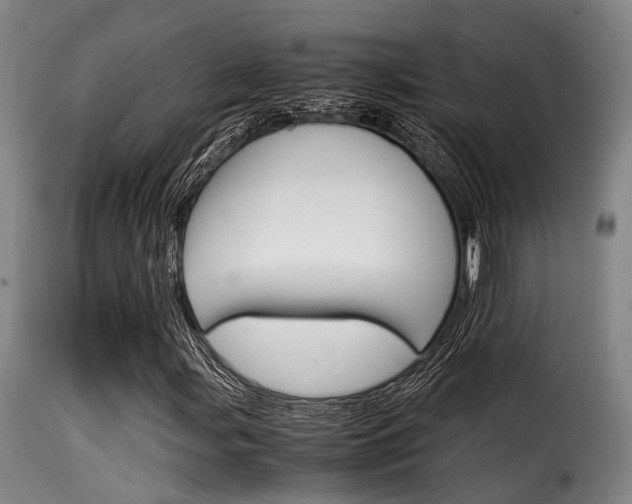 X0000116061107200911201154
