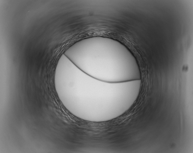 X0000116061109200911201154