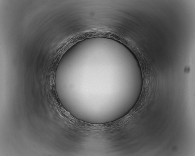 X0000116061110200911201154
