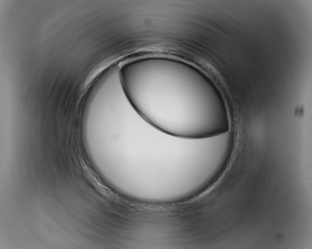 X0000116061114200911201154